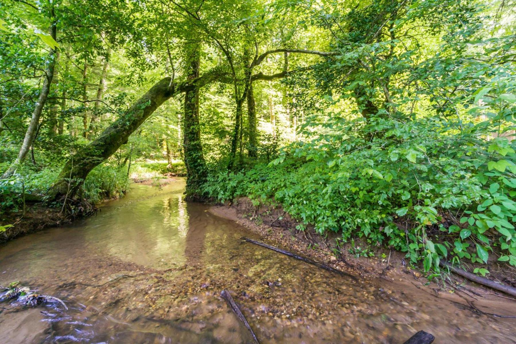 New Listing! Wine Country Retreat - 2 Bed, Hot Tub Villa Dahlonega Kültér fotó